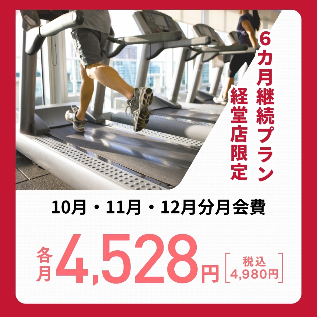 6ヶ月継続プランのイメージ画像